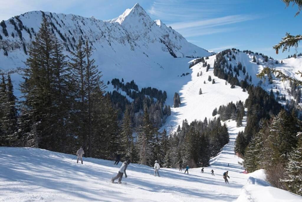 Les Cimes, Chaleureux Studio 4 Pers, 50M Du Telecabine, Vue Degagee Sur Les Pistes, Draps Non Compris Saint-Jean-dʼAulps 외부 사진