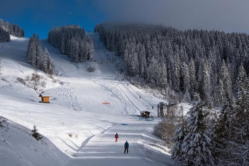 Les Cimes, Chaleureux Studio 4 Pers, 50M Du Telecabine, Vue Degagee Sur Les Pistes, Draps Non Compris Saint-Jean-dʼAulps 외부 사진